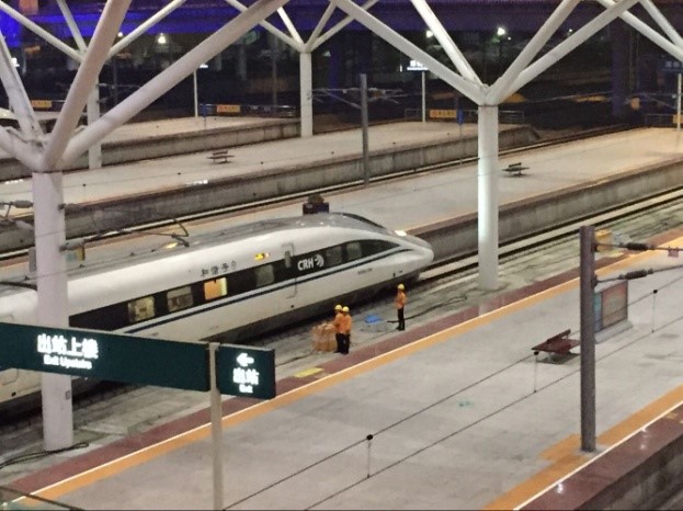 Bullet trains at Shenzhen North