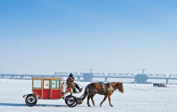 Harbin view